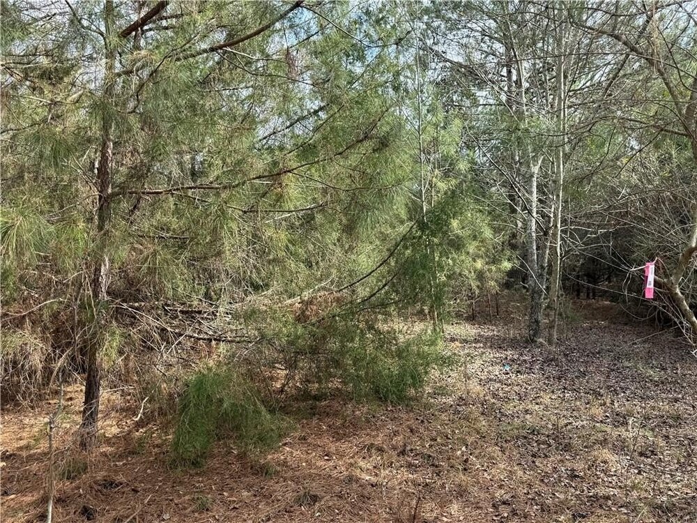 Photo of Mobile Home Lot