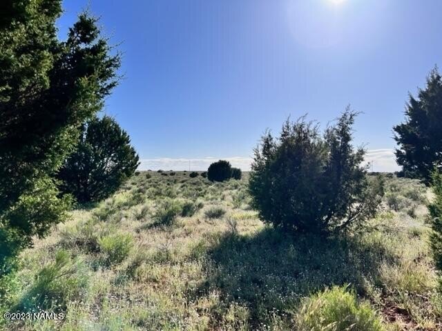 Photo of Mobile Home Lot