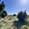 Photo of Mobile Home Lot