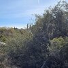 Photo of Mobile Home Lot