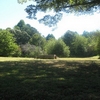 Photo of RV Lot