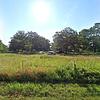 Mobile Home for Sale: 1974 Mobile Home