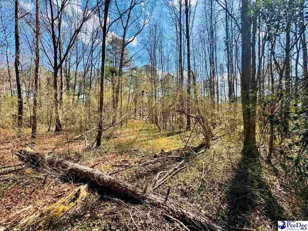 Photo of Mobile Home Lot