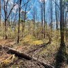 Photo of Mobile Home Lot