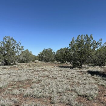 Photo of Mobile Home Lot