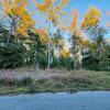 Mobile Home for Sale: Mobile Home