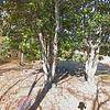 Mobile Home for Sale: Mobile Home