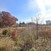 Mobile Home for Sale: 1999 Mobile Home