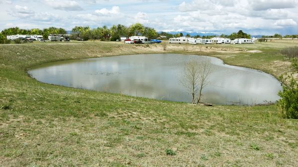 Pond