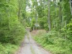 Photo of Mobile Home Lot