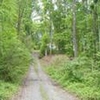 Mobile Home Lot for Sale: SC, SMYRNA - Land for sale., Smyrna, SC