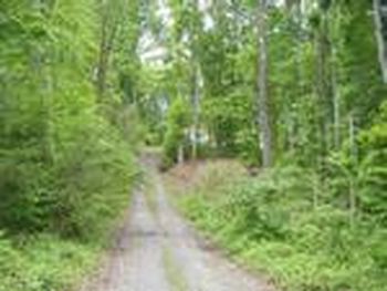 Photo of Mobile Home Lot