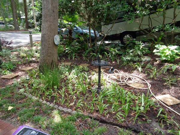 Photo of RV Lot