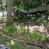 Photo of RV Lot