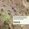 Mobile Home Lot for Sale: IN, UNDERWOOD - Land for sale., Underwood, IN