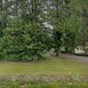 Mobile Home for Sale: 3 Bed 2 Bath 1979 Mobile Home