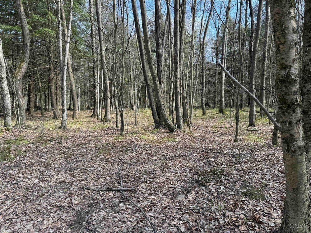 Photo of Mobile Home Lot