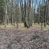 Photo of Mobile Home Lot