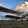 Aircraft for Sale: Antonov An-2