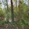 Mobile Home for Sale: 3 Bed 2 Bath 2018 Mobile Home