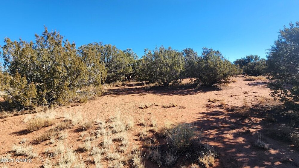 Photo of Mobile Home Lot