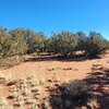 Photo of Mobile Home Lot