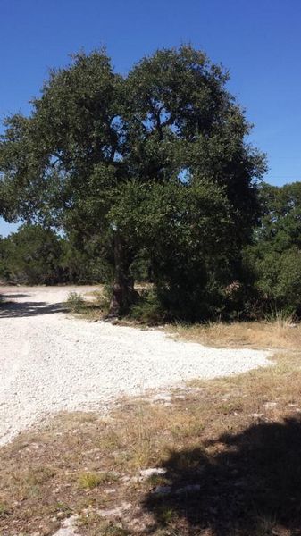 Photo of RV Lot