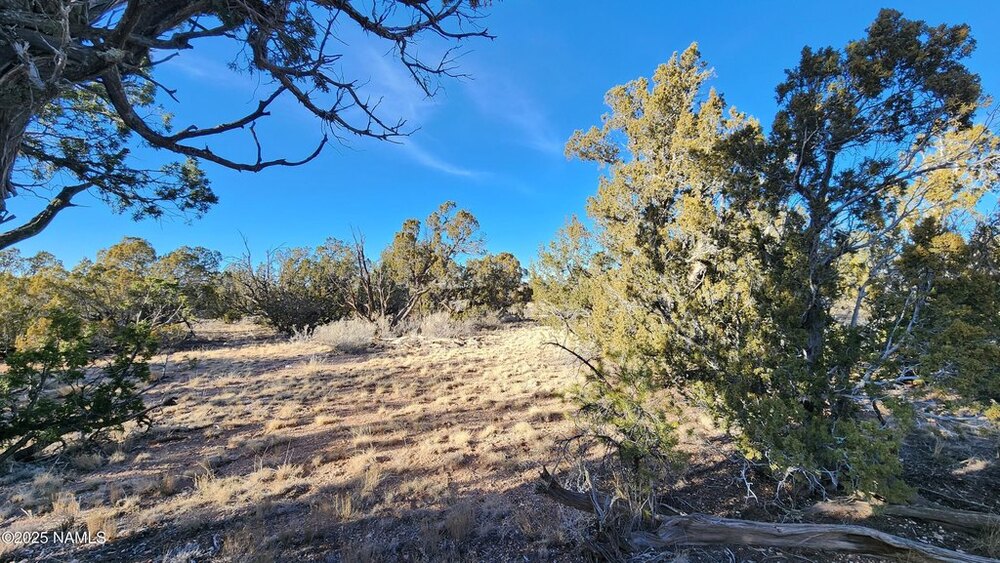 Photo of Mobile Home Lot
