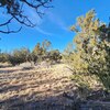 Photo of Mobile Home Lot