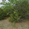 Mobile Home for Sale: 3 Bed 2 Bath 2023 Mobile Home
