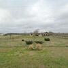 Mobile Home for Sale: 4 Bed 2 Bath 1997 Mobile Home