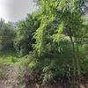 Mobile Home for Sale: 3 Bed 2 Bath 1989 Mobile Home