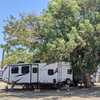 RV for Sale: 2021 ENVISION LUXURY SERIES 284QB