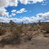 Photo of Mobile Home Lot