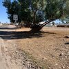Photo of Mobile Home Lot