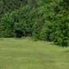Photo of RV Lot