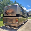 RV for Sale: 2004 SAFARI CHEETAH 38 PDQ
