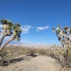Mobile Home Lot for Sale: Manufactured Home - Meadview, AZ, Meadview, AZ