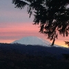 Photo of RV Lot