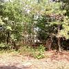Mobile Home for Sale: 2020 Mobile Home