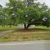 Mobile Home for Sale: 4 Bed 2 Bath Mobile Home