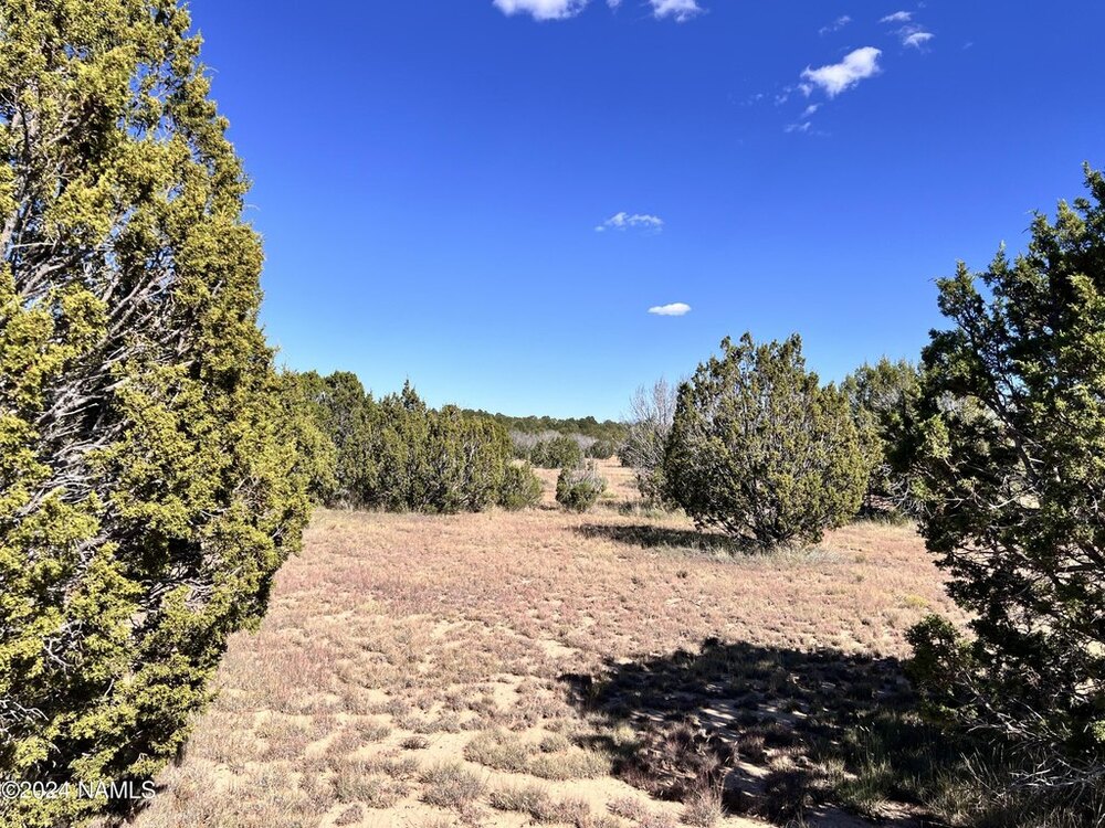 Photo of Mobile Home Lot