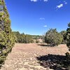 Photo of Mobile Home Lot