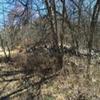 Photo of Mobile Home Lot