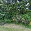 Mobile Home for Sale: Mobile Home