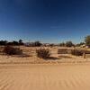 Mobile Home for Sale: 1956 Mobile Home