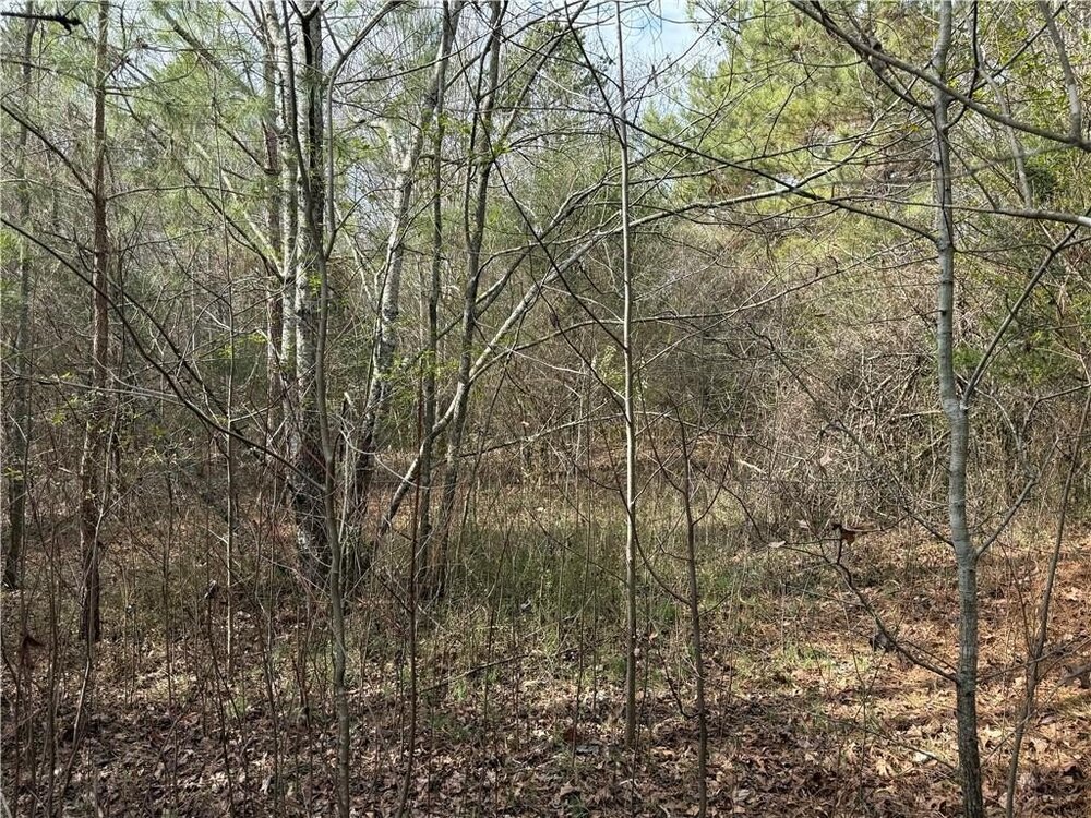 Photo of Mobile Home Lot
