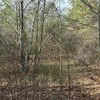 Photo of Mobile Home Lot