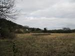 Photo of Mobile Home Lot