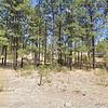 Mobile Home for Sale: 3 Bed 2 Bath 1997 Mobile Home